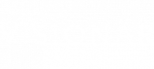 visionar-1.png